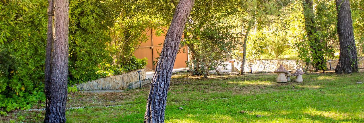 Quinta Dos Amarelos no Meco Aldeia do Meco Exterior foto